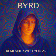 PREMIERE : Byrd - Remember Who You Are (Original Mix) [Zalmanim Records]