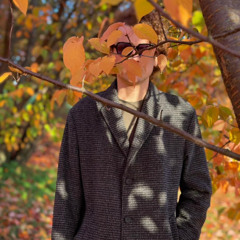 Hidden Harmony 31.10.25