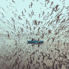 مشهور - خذني على قد حبي