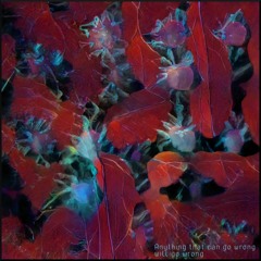 Anything That Can Go Wrong Will Go Wrong