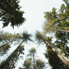 Silas & Snare 'Inner Sound'