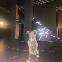 Music that scares my dog pt 1