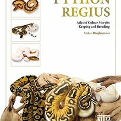 GET KINDLE PDF EBOOK EPUB Python regius: Atlas of Colour Morphs Keeping and Breeding by  Stefan Brog
