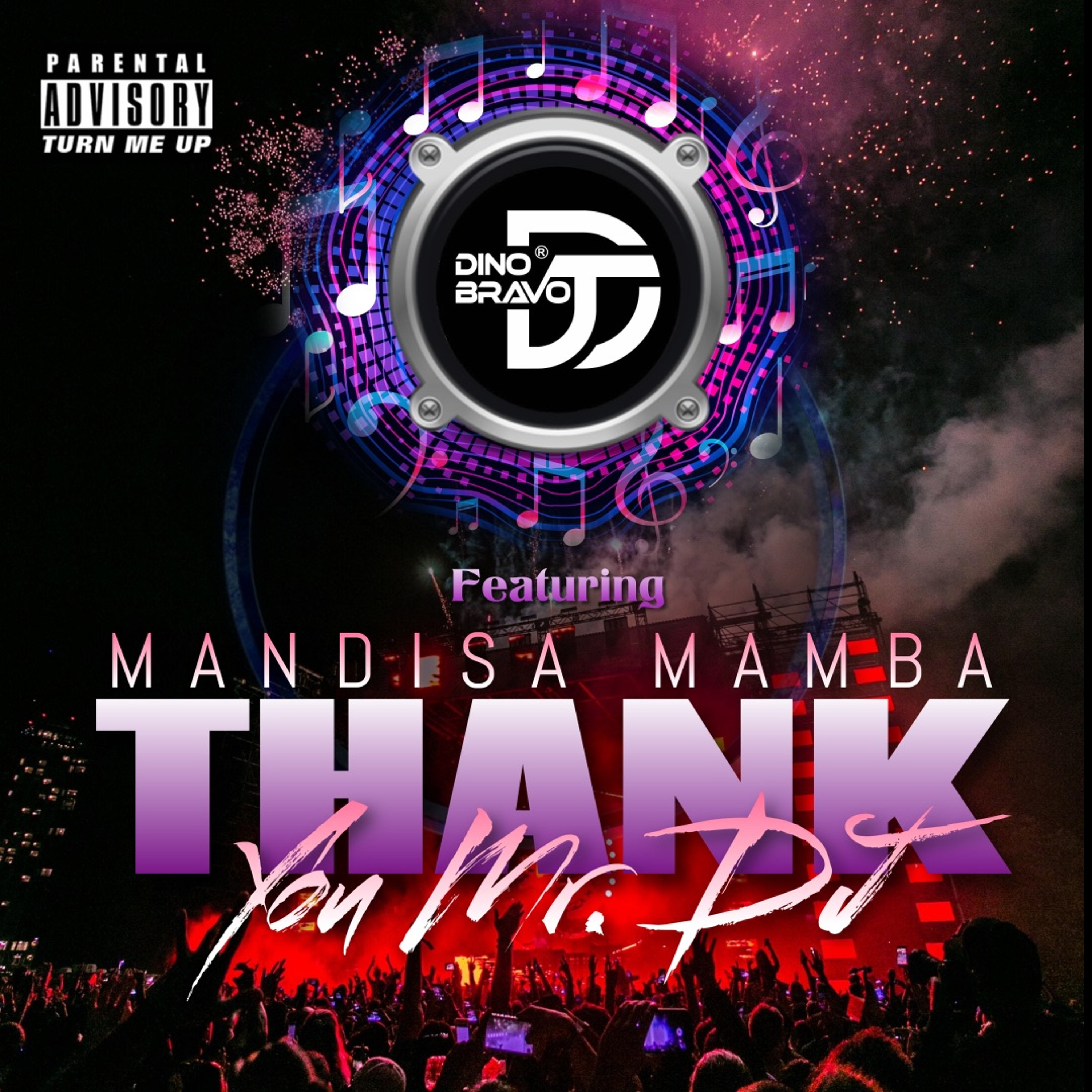 THANK YOU MR DJ feat MANDISA MAMBA