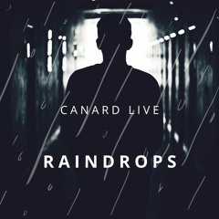 Canard - Raindrops