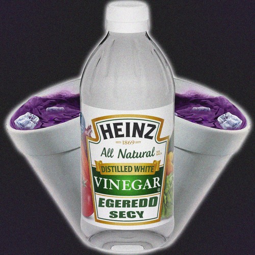VINEGAR DEMO FT SECY