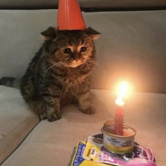 its my birthday fake love everywhere (i didnt do sht tday;pp)