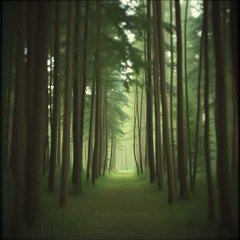 inside (acoustic)
