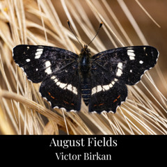 August Fields - Improvised Piano Piece