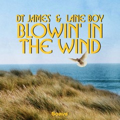 DT James & Lane Boy - Blowin' in the Wind