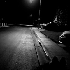 Dog Walk - ft social amoeba