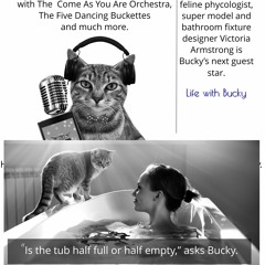 Cats in the bathtub.  GUEST: Super model and cat phycologist Victoria Armstrong.