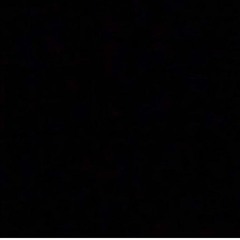 JOLENE (feat. Merry Ellen Kirk) - Not Afraid Of The Dark