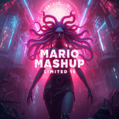 MARIO MASHUP - Limited 15 (2025)