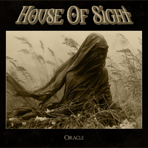 SHIPS AT SEA by House Of Sight