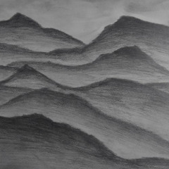 Wilting_Fields_of_Flowers