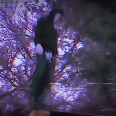 news prod youhearevan x vvsmalibu