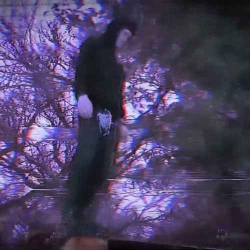 news prod youhearevan x vvsmalibu