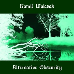 Kamil Walczak - NOT MUCH TO SAY... (Alt.)