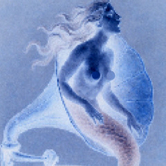 mermaid's torakz