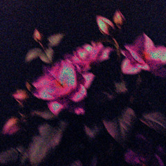 PREMIERE: PALT4S - 4STR4LD1S1NTEGR4T1ON