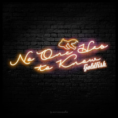 No One Has To Know (Midnight Kids Remix)