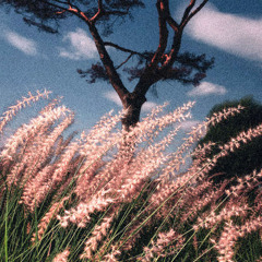 "TODAY" Melodic Type Beat