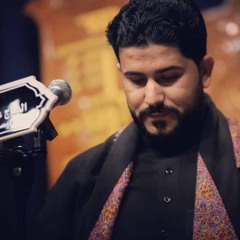 الگضو وياي العمر - ملا علي الساعدي