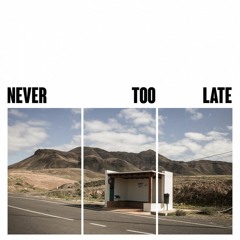 Never Too Late (ft. Hippiejesus)