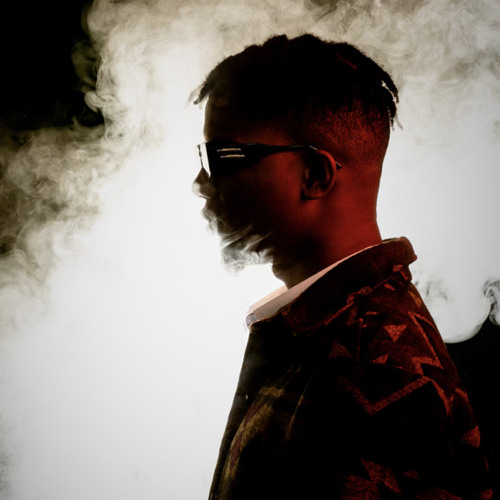 Big Agi Umbrella cover