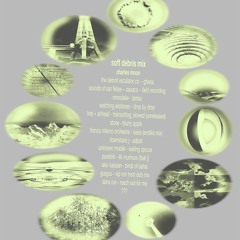 Charles Moon Soft Debris Mix