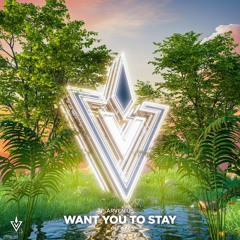 (INV034) / Want You To Stay