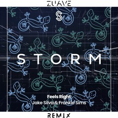 Jake Silva & Frankie Sims - Feels Right (ZUAVE REMIX)