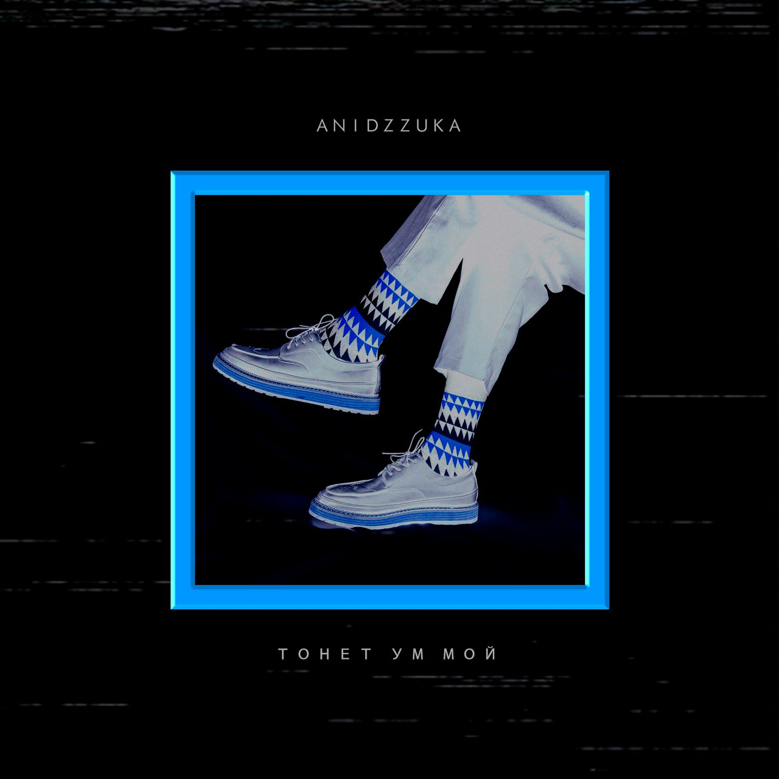 ANIDZZUKA