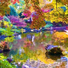 The enchanted forest