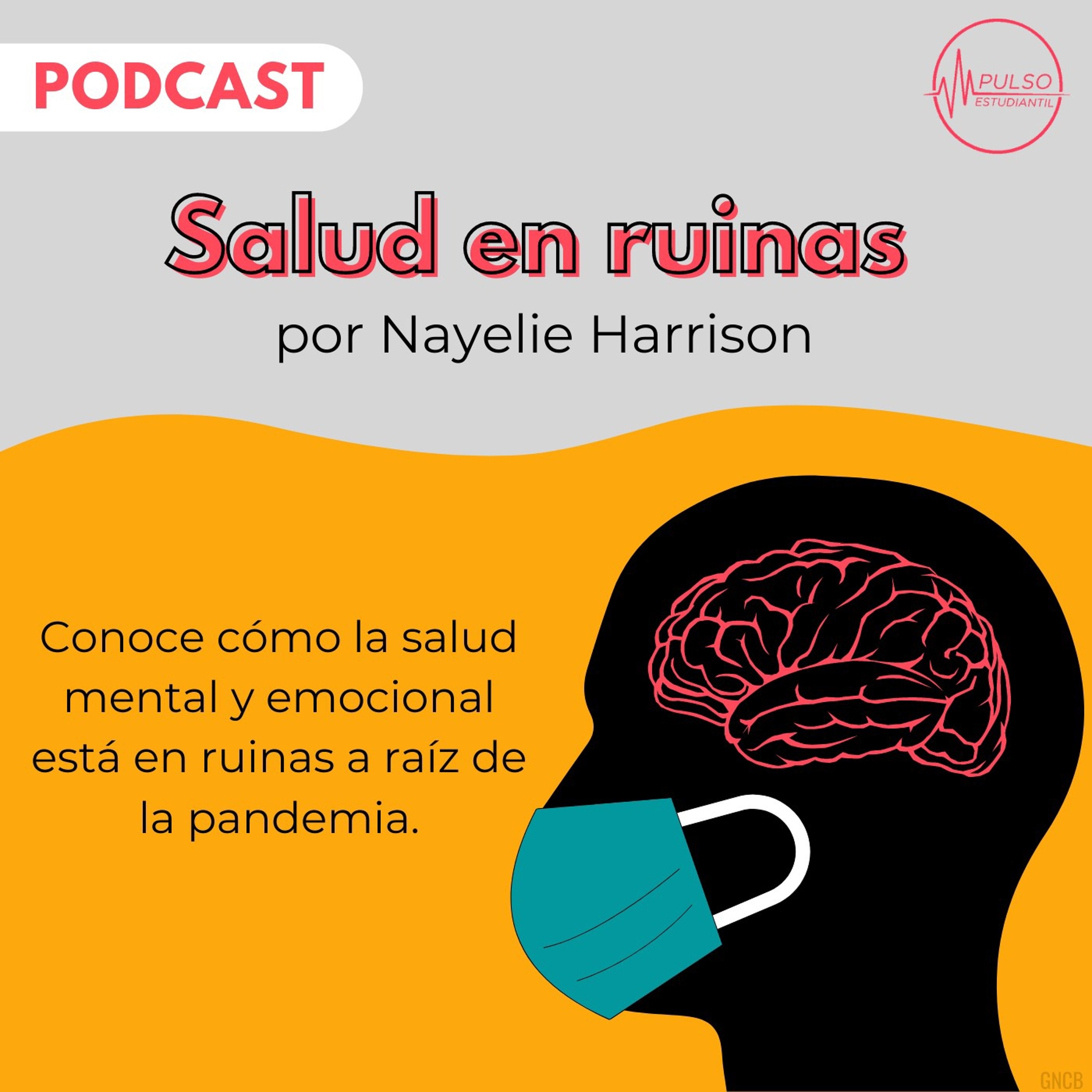 Pulso Estudiantil