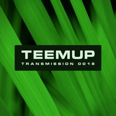 Teemup – Neon Transmission 0018