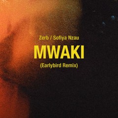 Zerb, Sofiya Nzau - Mwaki (Earlybird Remix)