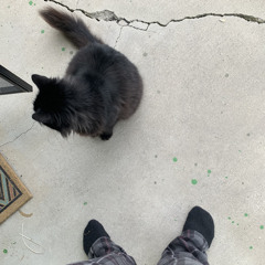 march *vers. 2* (prodrenbeats)