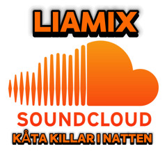 KÅTA KILLAR I NATTEN (EPA Dunk Remix)