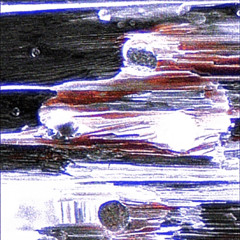 CORROSION