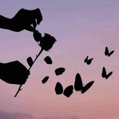 شعوري_ناحيتك_ميرنا ملوحي_كامله (MP3_160K).mp3