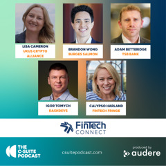 Show 275 - 10 years of FinTech Connect: From Open Banking to Crypto Innovation - Part 2 of 3