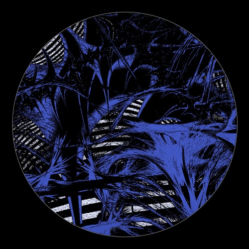 BCCO Premiere: LHVB - SHAMELESS [PACE003]