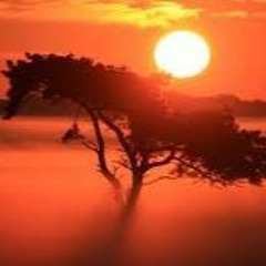 Kalimba House - Petruschka Projekt Made In Erlangen