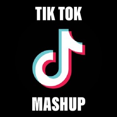 Tik Tok Mashup (NOT CLEAN!)