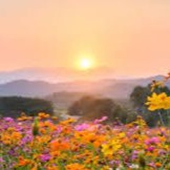 Alergia estacional - Programa educativo