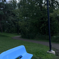 caught in the chaos.wav