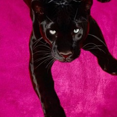 Baby Please Forget Me Not