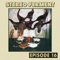 Stereo Ferment Episode 16
